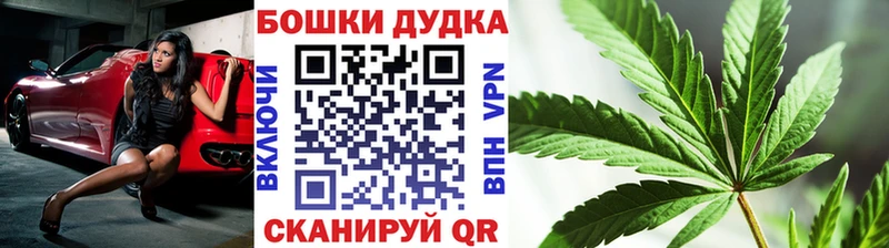 Конопля Amnesia  Полярный 
